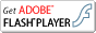 Adobe Flash